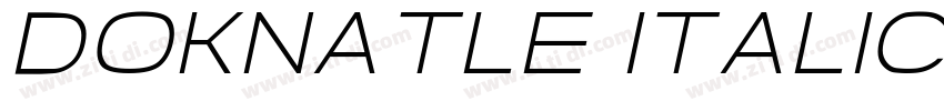 Doknatle Italic字体转换